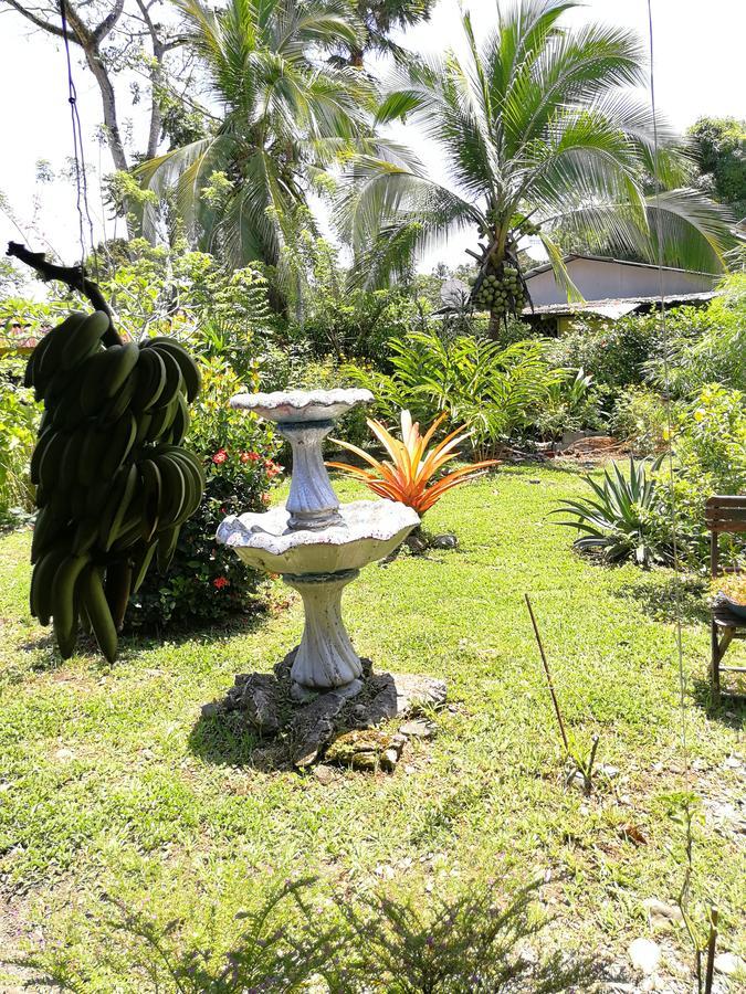 Secret Garden Hotel Cahuita Exterior foto