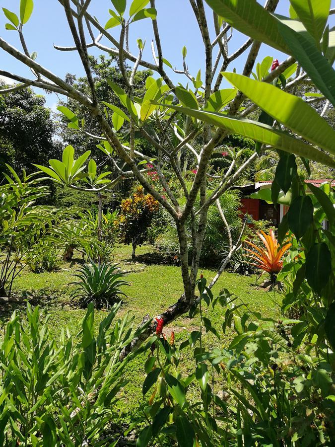 Secret Garden Hotel Cahuita Exterior foto